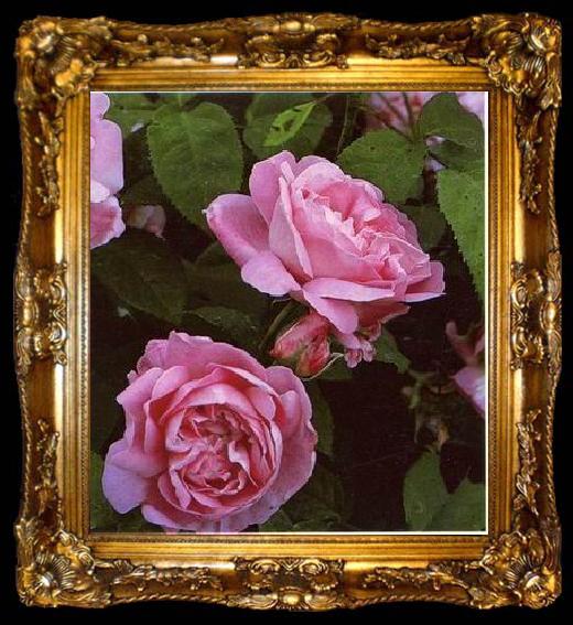 framed  unknow artist Still life floral, all kinds of reality flowers oil painting  353, ta009-2